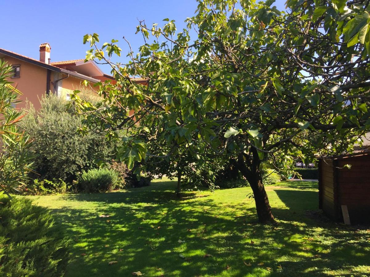 Abies Lago Di Como Dongo Exteriör bild