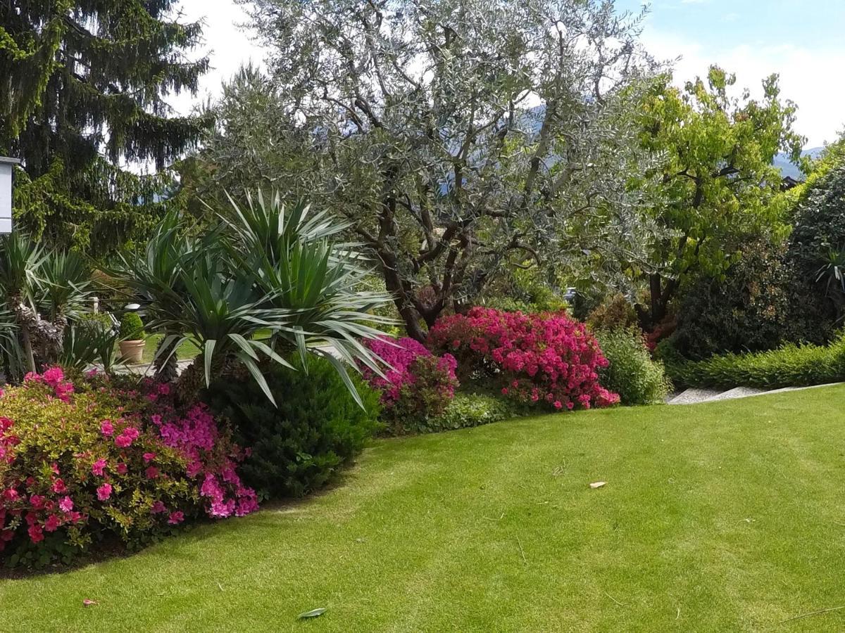 Abies Lago Di Como Dongo Exteriör bild
