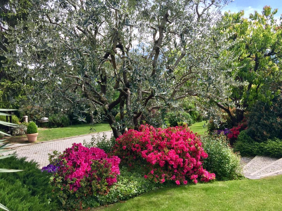 Abies Lago Di Como Dongo Exteriör bild