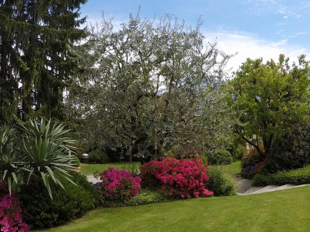 Abies Lago Di Como Dongo Exteriör bild