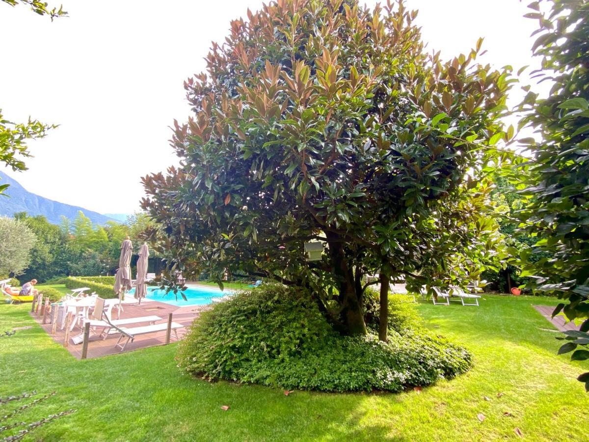 Abies Lago Di Como Dongo Exteriör bild
